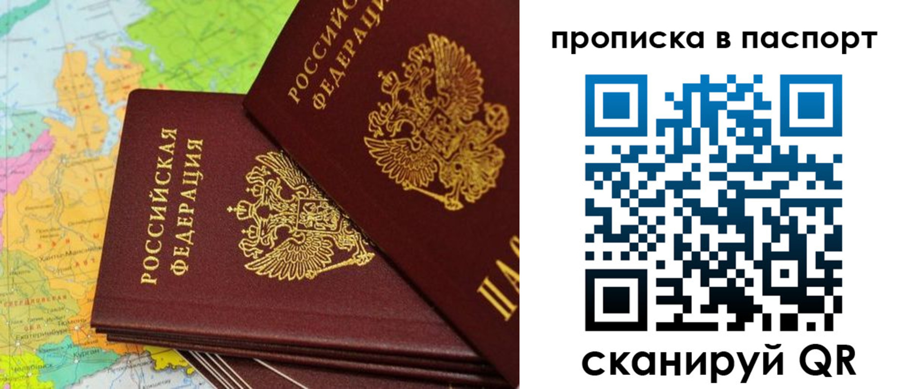 прописка поиск в Котово